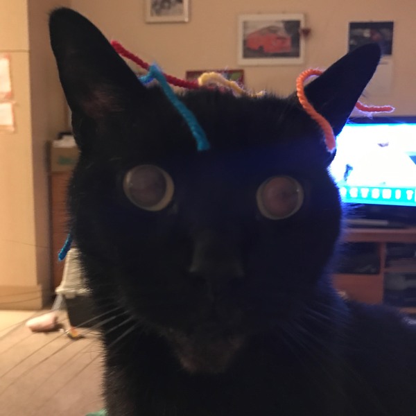 Woolly Hug crew over HERE!! Chernobyl project 2017, our second thread