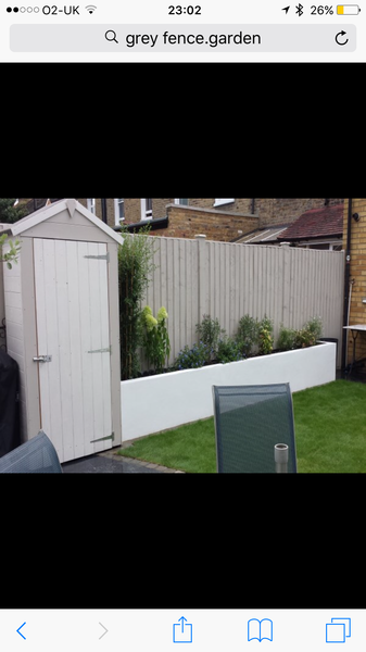 Complete novice - what would thrive in these raised beds?