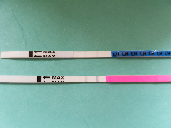 Is it a positive ovulation test??