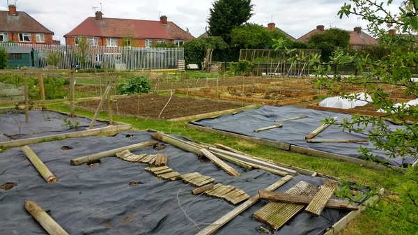 Allotment/Veg Patch -Thread  8 - Its spring - time to get busy!