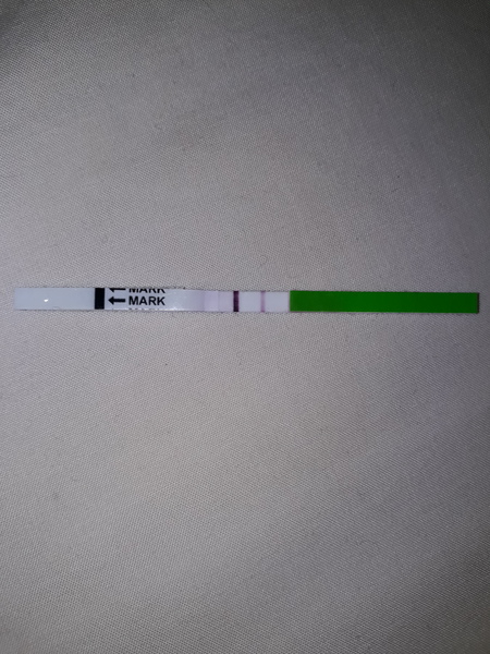 December 2017 #3 - Beware! There is much talk about food on this thread!