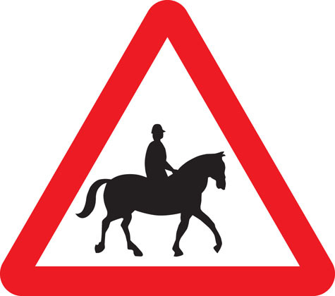Horses on the roads - AIBU to think its just not safe anymore - who is at fault?