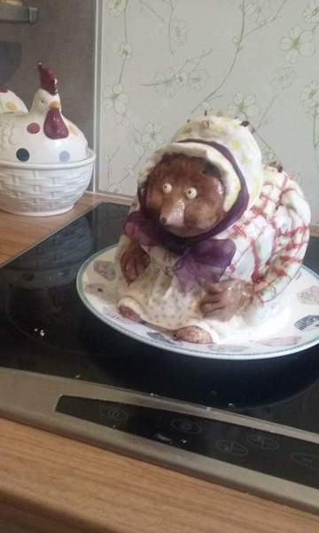 Is my hedgehog fucked? (Pics)