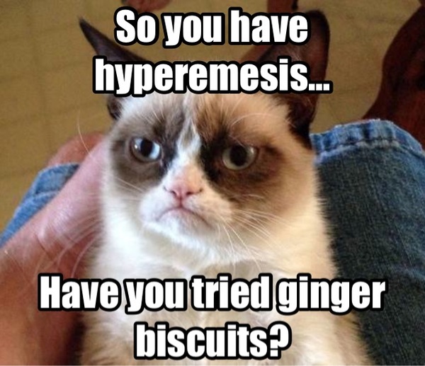 Hyperemesis Support