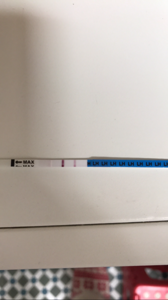 December 2017 #3 - Beware! There is much talk about food on this thread!