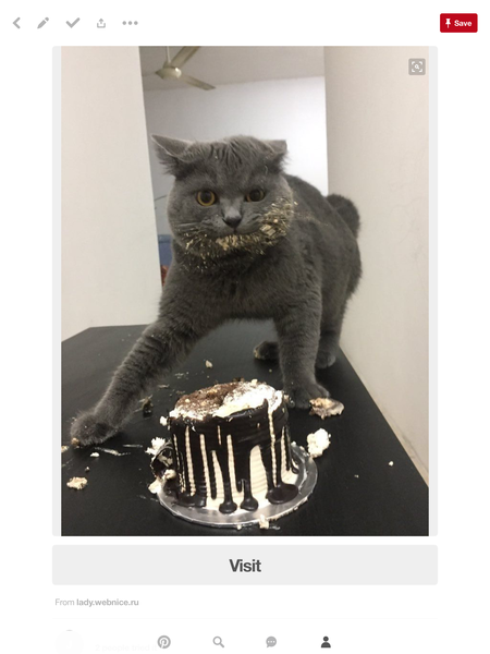 To hate this smashcake craze?