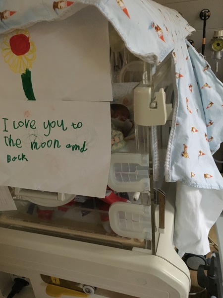 To hate the phrase love you to the moon and back?