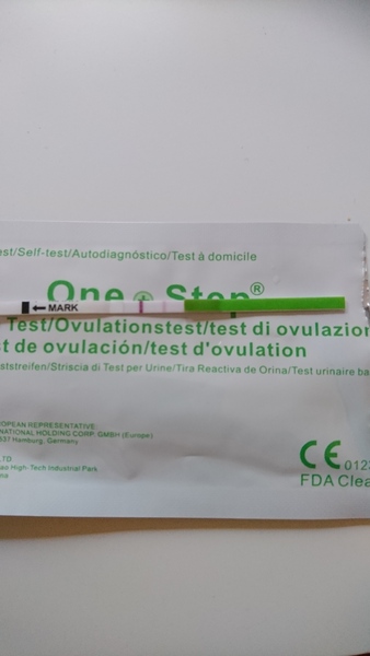 December 2017 #3 - Beware! There is much talk about food on this thread!