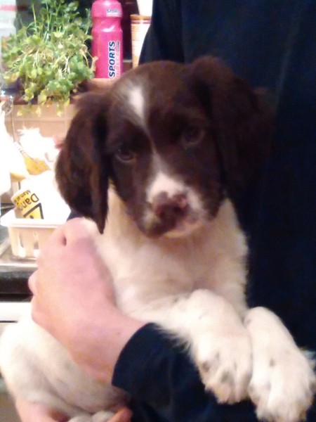 Dh has died - the MN Aunties are helping me keep on