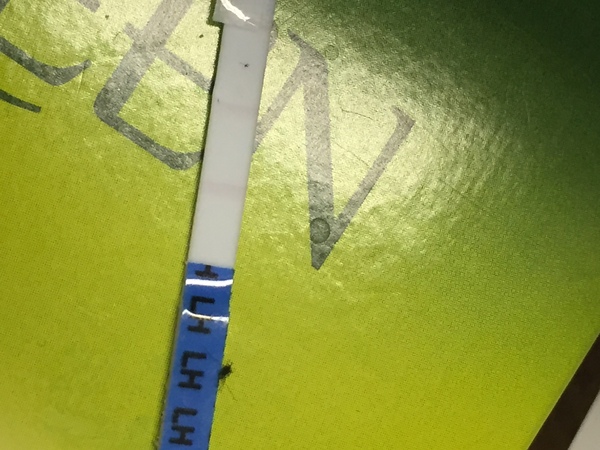 Ovulating?