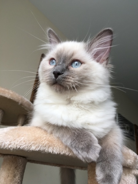 Devastated over the loss of my boy