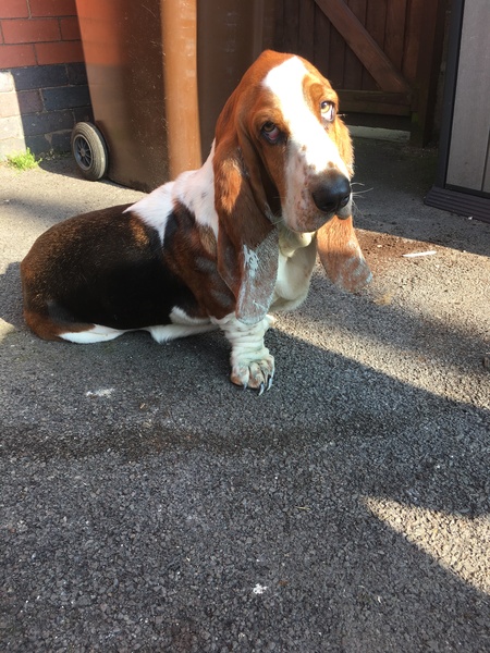 Week 9 - Spring Low Carb Bootcamp - our last fortnight