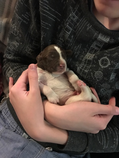 Dh has died - the MN Aunties are helping me keep on