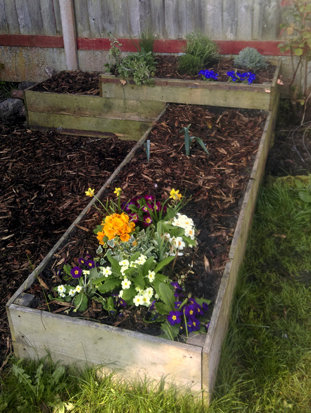 Allotment/Veg Patch -Thread  8 - Its spring - time to get busy!