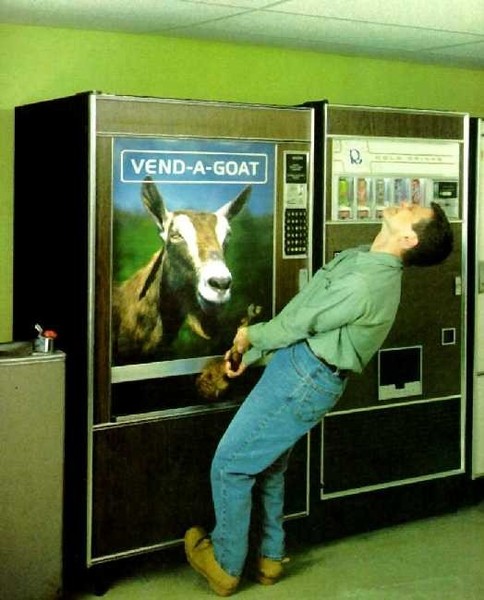 AIBU to want my goat?