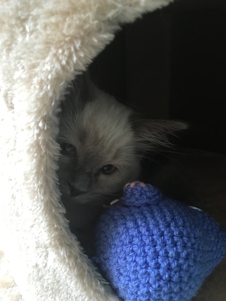 Devastated over the loss of my boy