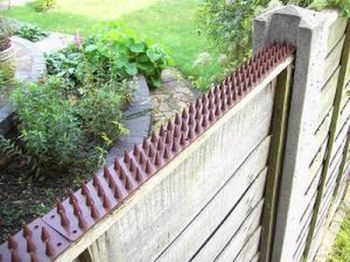 SPike rods on fence to stop cats coming in?