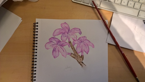 Frugaleers saving and chatting through April