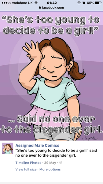 I've just been lectured at by a trans woman for painting my daughter's room pink