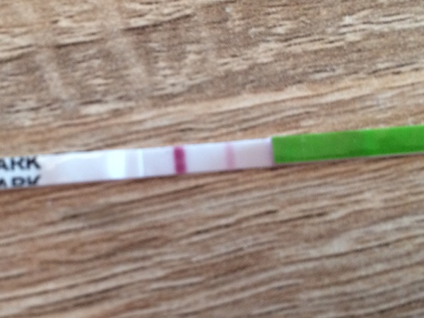 December 2017 #3 - Beware! There is much talk about food on this thread!