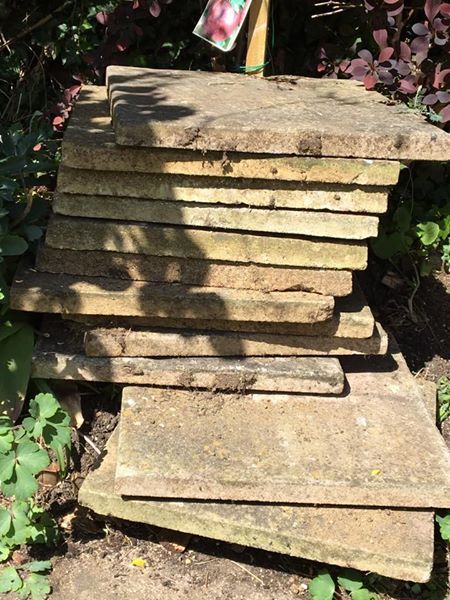 Help me plan a new flower bed