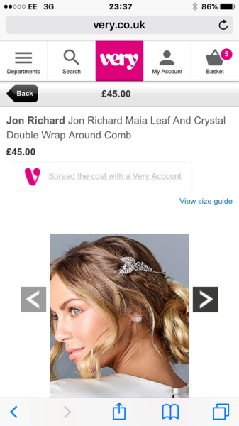 Daft question but what is the correct name/term for this hair accessory please?