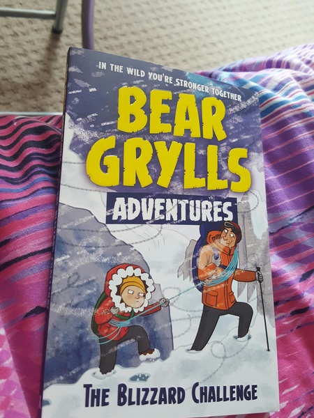 Find out what Mumsnetters thought of Bear Grylls Adventure series for children
