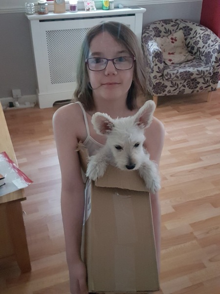 Does anyone fancy a 'puppy survival' thread?