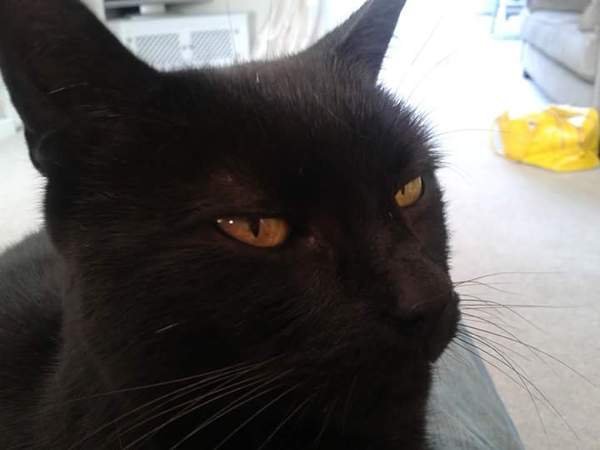 My beautiful boy is gone