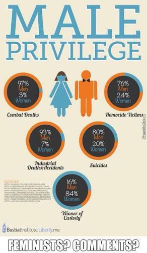 'There is no need for feminism in first world countries because females are no longer oppressed...'