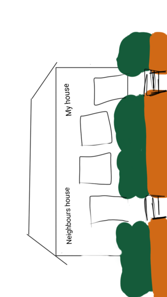 Should I trim my neighbours bush?