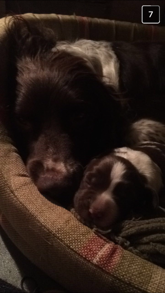 Dh has died - the MN Aunties are helping me keep on