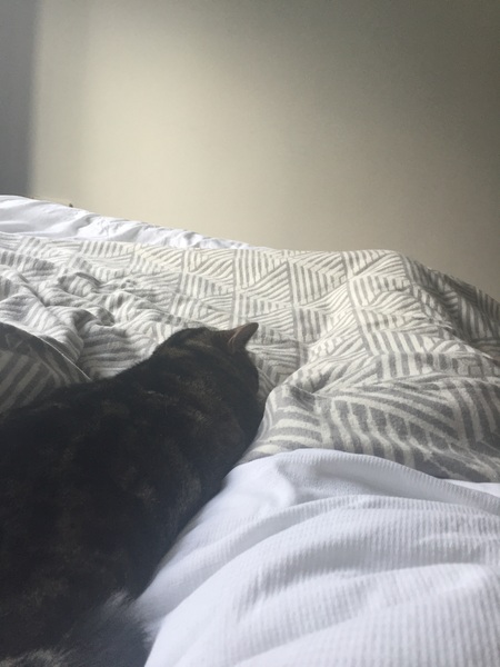 Money-managing Masterfully into May - Frugaleers unite!