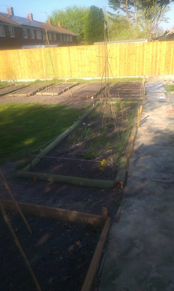 Allotment/Veg Patch -Thread  8 - Its spring - time to get busy!