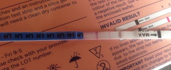 Negative pregnancy test but positive opk