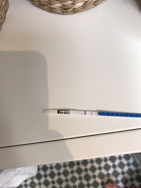 December 2017 #3 - Beware! There is much talk about food on this thread!