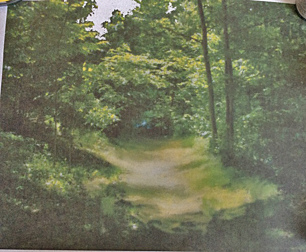 Any photographers, photoshoppers or artists who can help please?