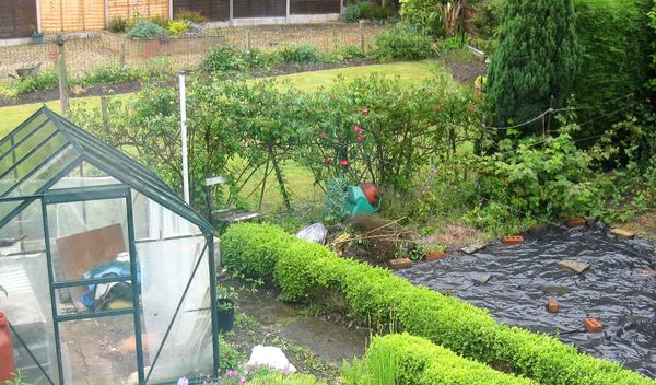To be FURIOUS that the new neighbours have chopped down our entire rose bush?!