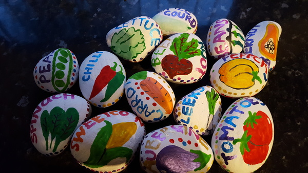 Allotment/Veg Patch Thread 9 - Spring is sprung, its getting really busy!
