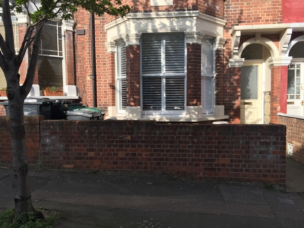 Anyone know about planting a hedge?