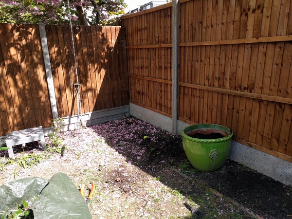 What should we grow here? (Pic)