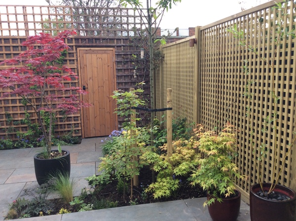 The first rule of potting shed is YOU ALWAYS talk about potting shed. The thread continues.