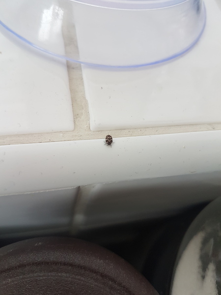 What are these?