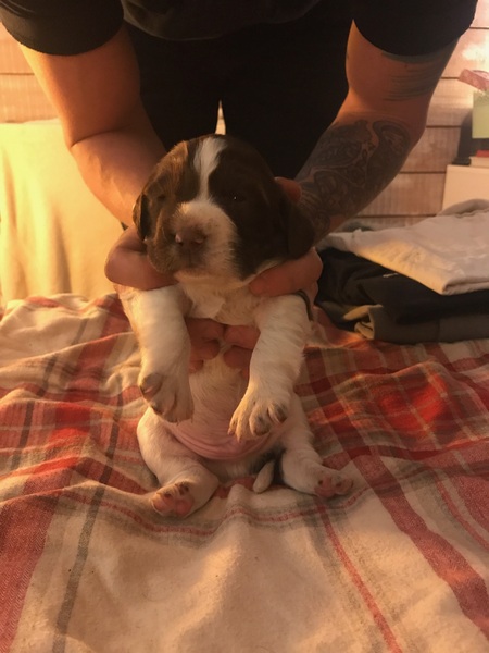 Dh has died - the MN Aunties are helping me keep on