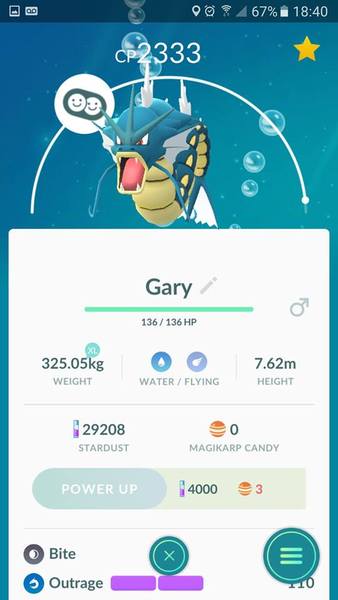 Pokémon Go #8: Don't mess with my Hoothoot