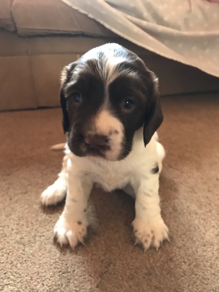 Dh has died - the MN Aunties are helping me keep on