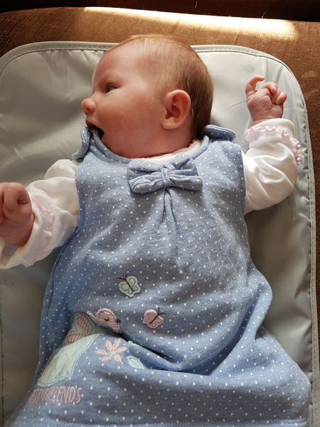 Due in March 2017 - thread #6