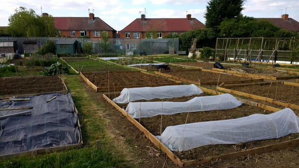 Allotment/Veg Patch -Thread  8 - Its spring - time to get busy!