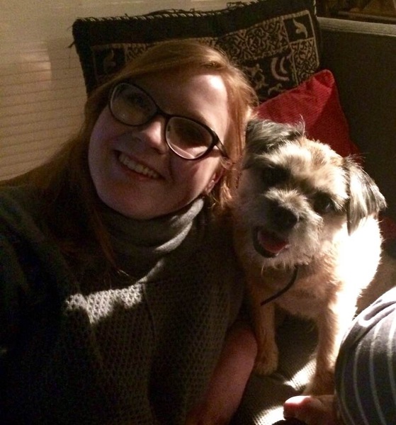 Show me your border terriers