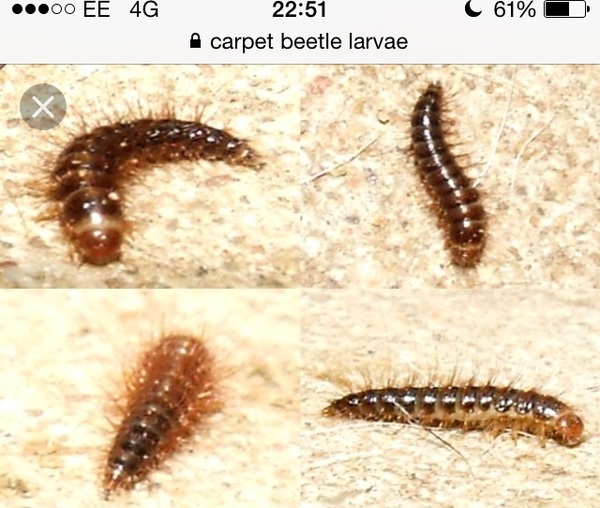 What is that!!!